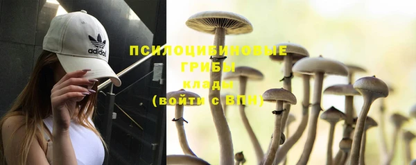 мяу мяу кристалл Рославль