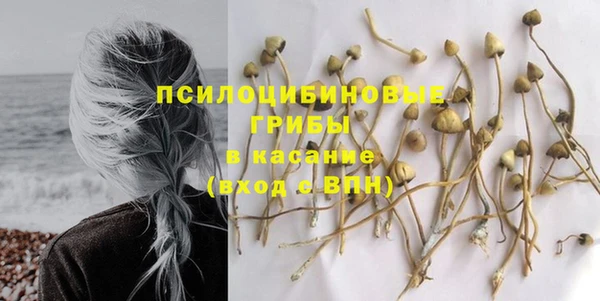 прущие крисы Арсеньев